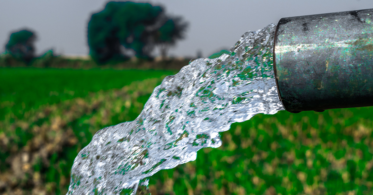 La misión urgente de mejorar el uso eficiente del agua en el sector ...